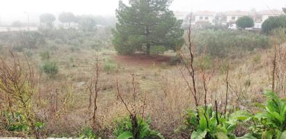 Urbis te ofrece unas parcelas en venta en Boecillo, Valladolid. photo 0