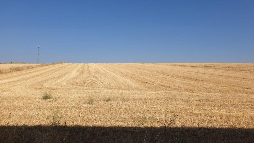 Urbis te ofrece una parcela en venta en Aldeatejada, Salamanca. photo 0