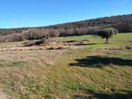 Urbis te ofrece dos terrenos rústicos en venta en Encina de San Silvestre, Salamanca. photo 0