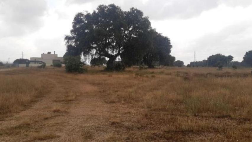 Urbis te ofrece una parcela en venta en Carrascal de Barregas, Salamanca. photo 0
