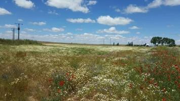 Urbis te ofrece una parcela en venta en Galindo y Perahuy, Salamanca. photo 0