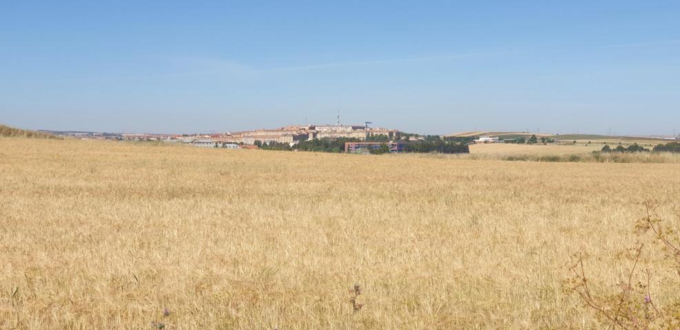 Urbis te ofrece un Terreno Agrario No Urbano en Salamanca, Zona PEÑISCAS, Salamanca photo 0