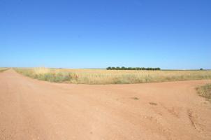 Urbis te ofrece un terreno en venta en Castellanos de Villiquera, Salamanca. photo 0