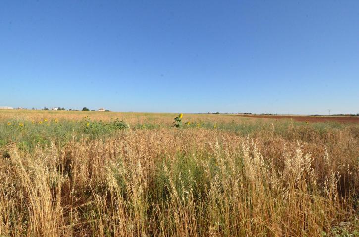 Urbis te ofrece un terreno en venta en Castellanos de Villiquera, Salamanca. photo 0