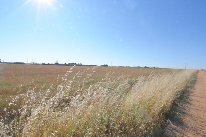 Urbis te ofrece un terreno en venta en Castellanos de Villiquera, Salamanca. photo 0