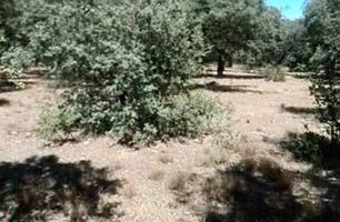 Urbis te ofrece un terreno en Puebla de Yeltes, Salamanca photo 0