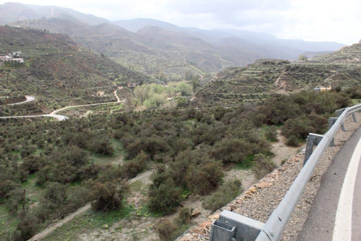 FINCA DE REGADIO EN CANJAYAR (ALMERIA) photo 0