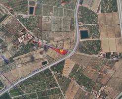 Solar en Abanilla photo 0