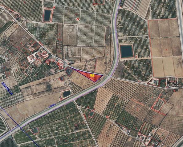 Solar en Abanilla photo 0