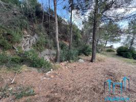 OPORTUNIDAD GRAN PARCELA EN CASTELLAR DEL VALLES photo 0