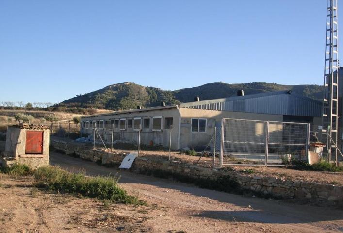 NAVE INDUSTRIAL EN LA ROMANA. ALICANTE photo 0