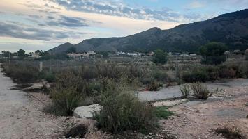 TERRENO URBANIZABLE EN ORIHUELA, ALICANTE (PRECIO A CONSULTAR ) photo 0