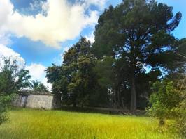 MAGNIFICA FINCA totalmente legal photo 0