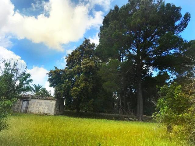 MAGNIFICA FINCA totalmente legal photo 0