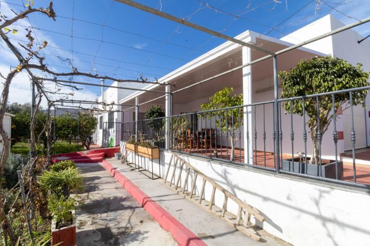 CHALET EN PECHINA photo 0