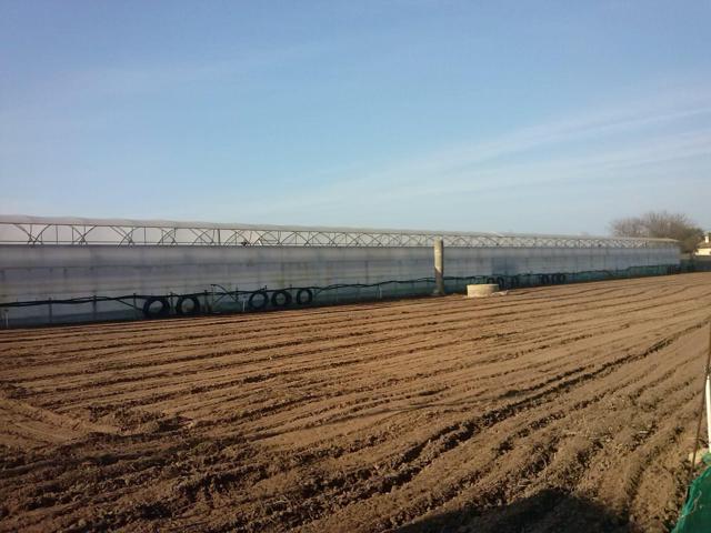 FINCA CON INVERNADERO A 300M DE LA PLAYA CON ESCRITURAS photo 0