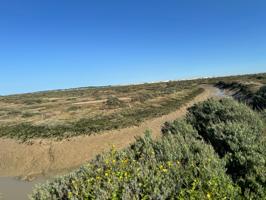 PARCELA photo 0