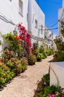 Casa photo 0