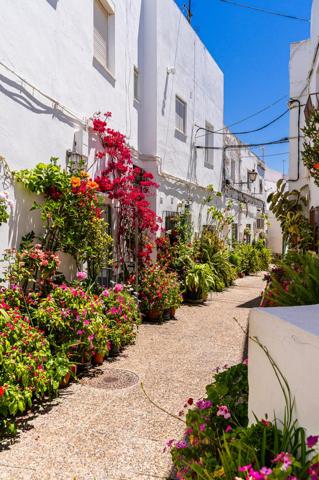Casa photo 0