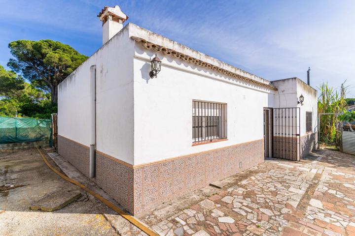 CASA photo 0