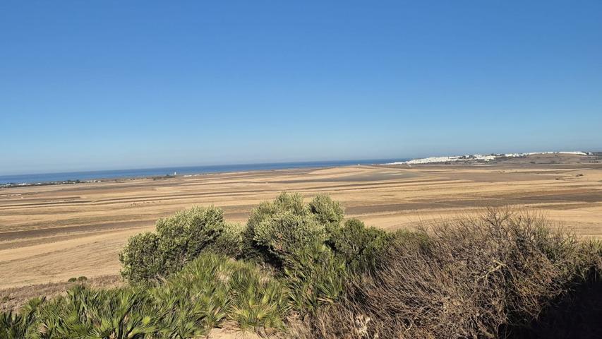 14 HECTAREAS CON VISTAS AL PALMAR photo 0