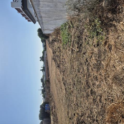 TERRENO RUSTICO SEGREGADO EL PALMAR photo 0