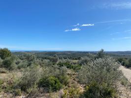 SUELO URBANIZABLE SECTORIZADO CON UNA SUPERFICIE DE 194.853 M² JUNTO AL BOVALAR DE SANT JORDI photo 0