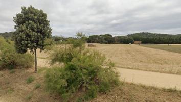 Muy buena parcela rustica, sobre el camino real de Mont Ras. Tierra de cultivo c-pozo y barraca photo 0