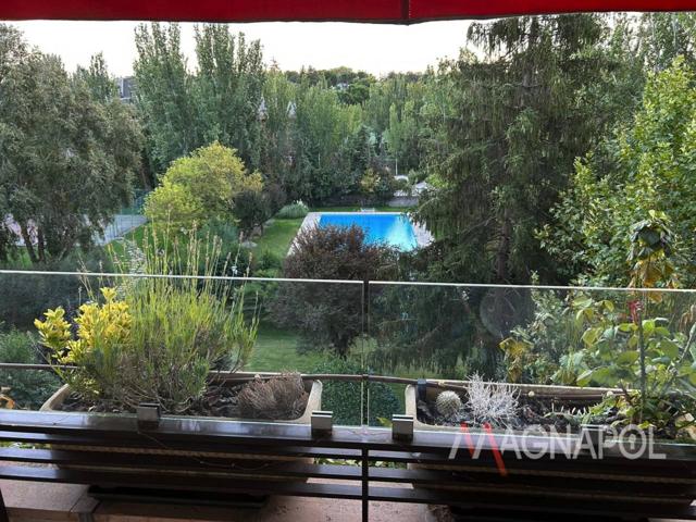 MAGNAPOL ALQUILA PISO photo 0