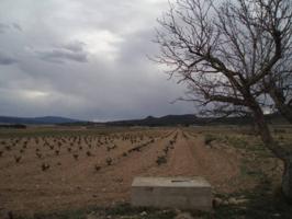 CAUDETE - PARCELA CERCA DEL PUEBLO photo 0