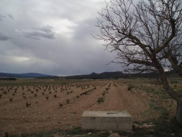 CAUDETE - PARCELA CERCA DEL PUEBLO photo 0