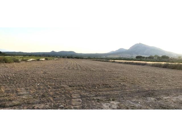 CAUDETE - PARCELA CERCA DEL PUEBLO photo 0