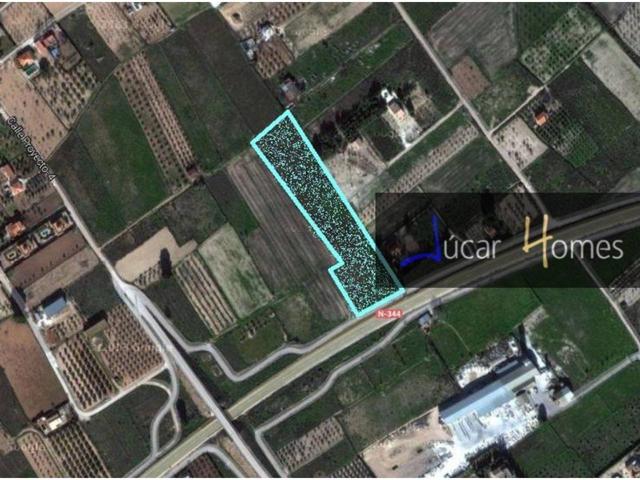 CAUDETE - Terreno en venta photo 0