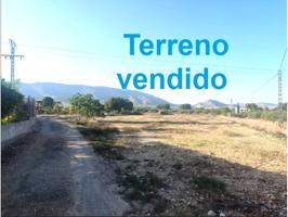 🏡 Ref. 905 – Terreno VENDIDO photo 0