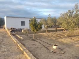 Terreno y almacén con cocina baja, en venta en Caudete photo 0