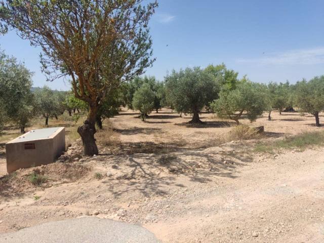 🌿 ¡Oportunidad única! Terreno rústico con encanto en plena naturaleza 🌄 photo 0