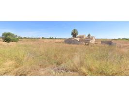 PARCELA RUSTICA 44.317 M2 EN CTRA. SANTA POLA photo 0