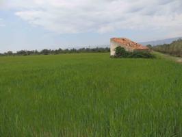 Finca con casa de campo photo 0