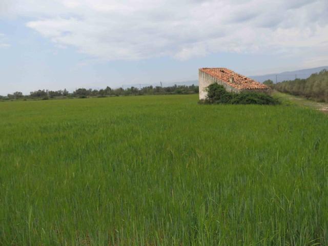 Finca con casa de campo photo 0