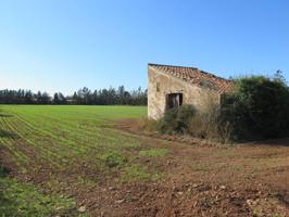 Finca rustica en venta en Godall photo 0