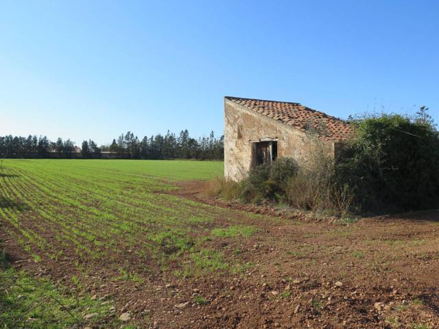 Finca rustica en venta en Godall photo 0