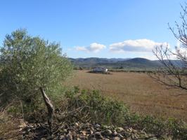 Finca rustica en venta en Godall photo 0