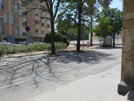 AMPLIO LOCAL JUNTO PARC SANT JORDI photo 0