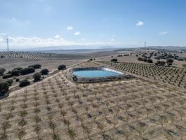Terreno Urbanizable En venta en Campo, S-n, Campo, Alamedilla photo 0