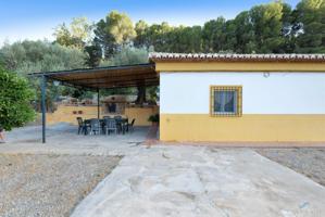Terreno Urbanizable En venta en Cónchar, S-n, Cónchar, Villamena photo 0