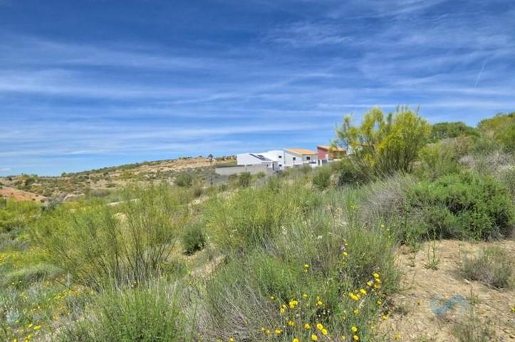 Terreno Urbanizable En venta en Cañadas Del Parque, Dílar photo 0