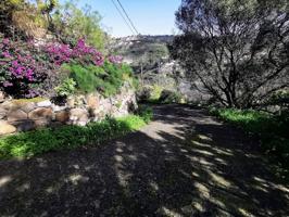 Casa De Campo En venta en Camino A Las Goteras, Caserones - La Higuera, Telde photo 0