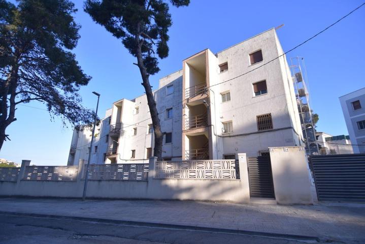 Oportunidad photo 0