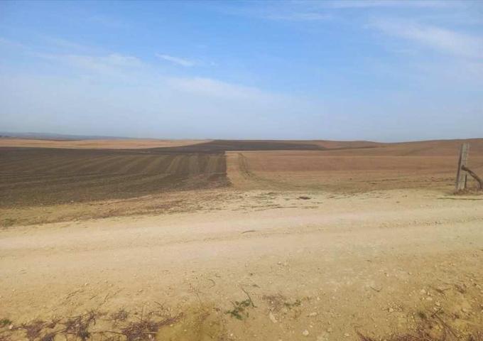 MAGNÍFICA FINCA RÚSTICA EN TARIFA photo 0