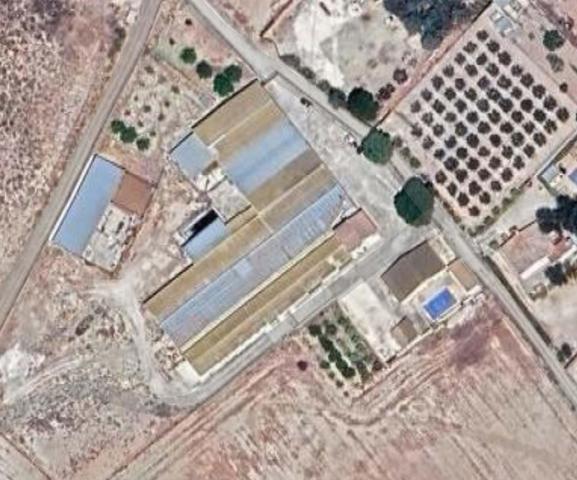 FINCA CON NAVES Y VIVIENDA EN VILLENA photo 0